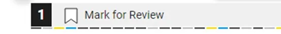 Mark as Review button on Bluebook testing software.